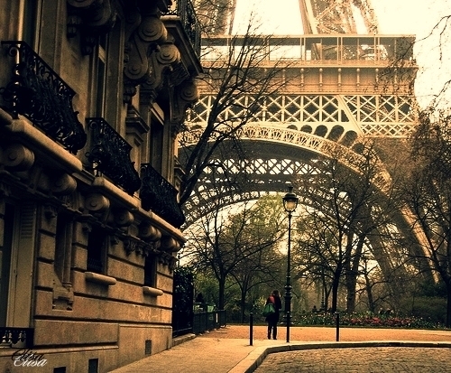tumblr_lsvk5uC31p1qaelo8o1_500_large